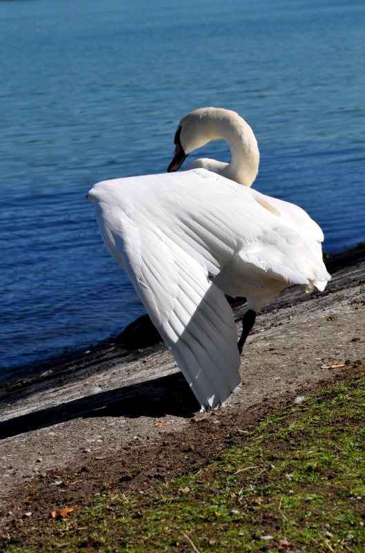 DSC_0071.JPG