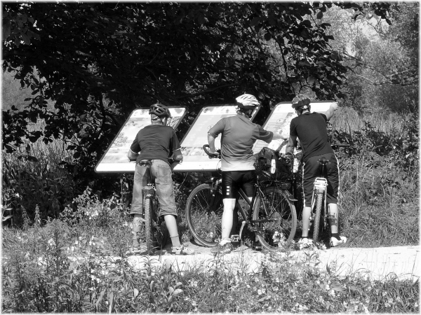 direction.jpg